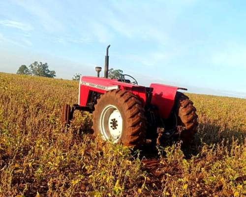 Agrícola Tractor Massey Ferguson 275