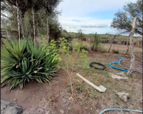 1110 Has en las Catitas, Mendoza