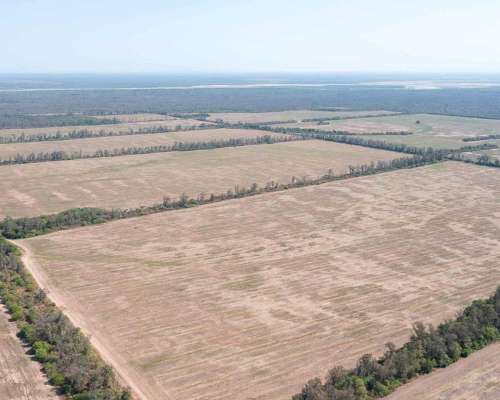 Pcia. de Salta - Embarcacion 1370 Has