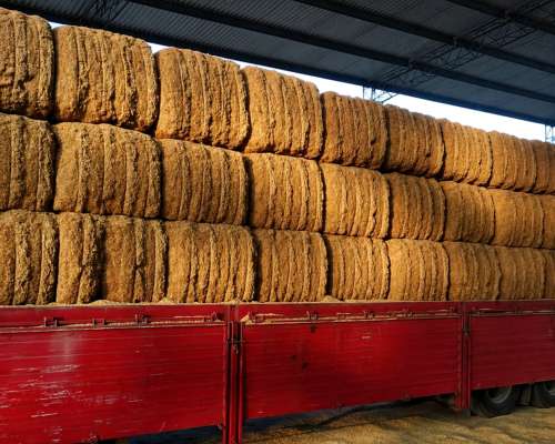 Megafardos de Cáscara de Arroz - Lasna Insumos - MÍN 24 TN