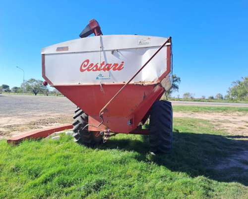 Auto Descargable Marca Cestari