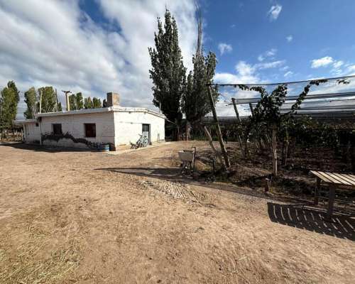 Finca de 15ha D° Riego, Pozo, Goteo.