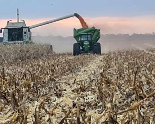 Vendo 3000 Ha Agricolas las Lajitas
