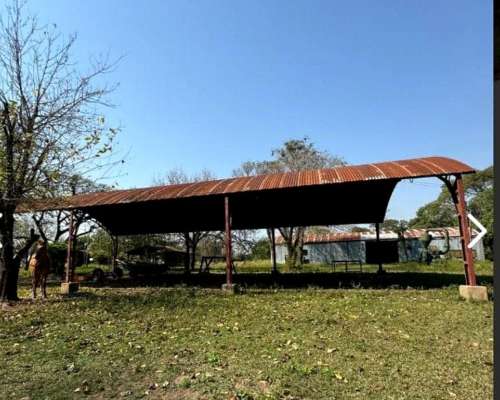 Vende Establecimiento Completo - las Palmas Chaco