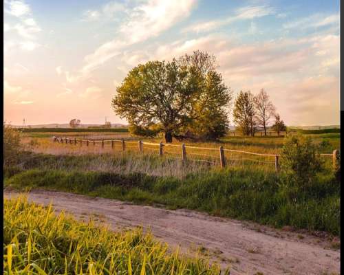 Busco Quinta/ Campo para Alquilar