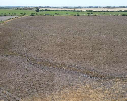 115 Hectáreas Agrícolas Sobre Ruta, Caseros Entre Ríos.