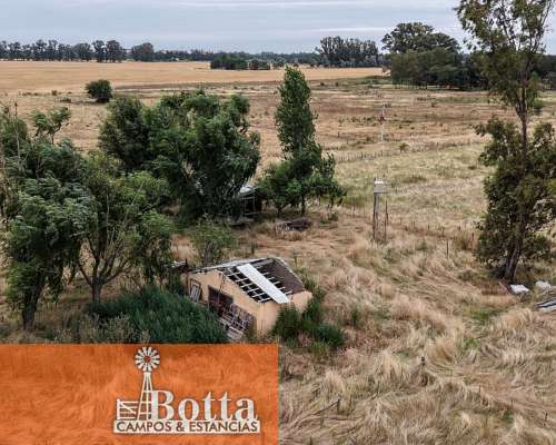 5has en Venta en Mercedes, Provincia de Buenos Aires