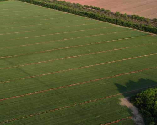 Santiago del Estero 370 Has Bien Agrícolas