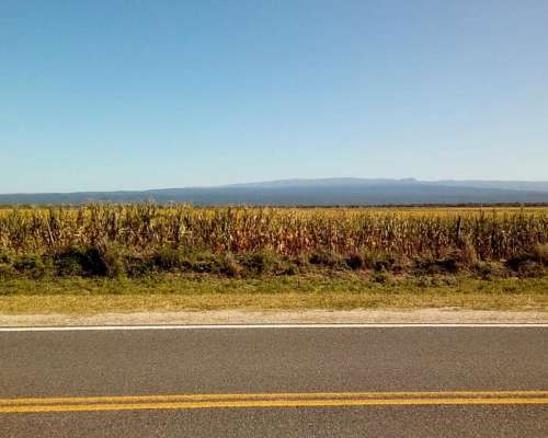 Bañado de Ovanta Oportunidad 437 Hectareas Agricolas S/ruta