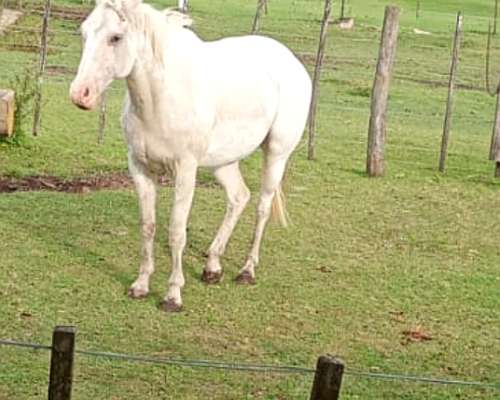 Hermosa Unida Productiva para Mejorar .