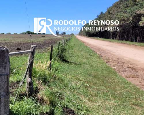 27 HA. en Villa Elisa - Entre Ríos