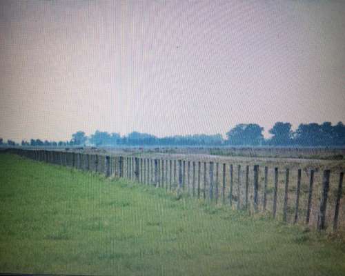 Campos Centro Buenos Aires, Agrícolas, Mixtos, Ganaderos