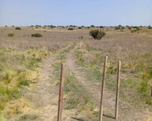 Campo Ganadero Mixto Cordoba