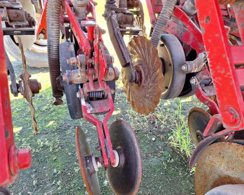 Semb Fino - Crucianelli Pionera 21 a 26