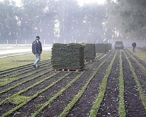 Maquinista / Tractorista - Zona Vicente Casares (sur Gba)
