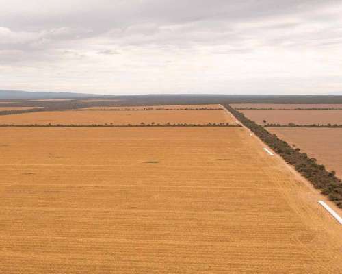 Pcia. de Salta - el Quebrachal 645 Has