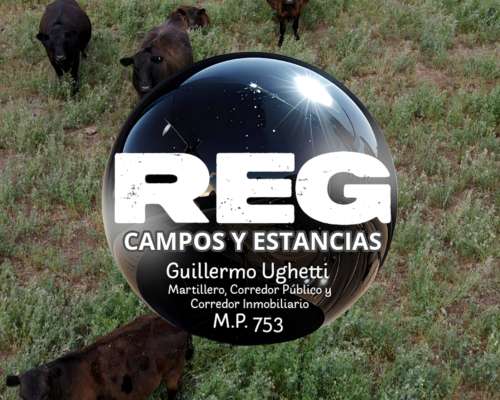 800 Has - Sarah, la Pampa.