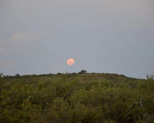 Campo al PIE del Cerro. a 30 km de la Toma