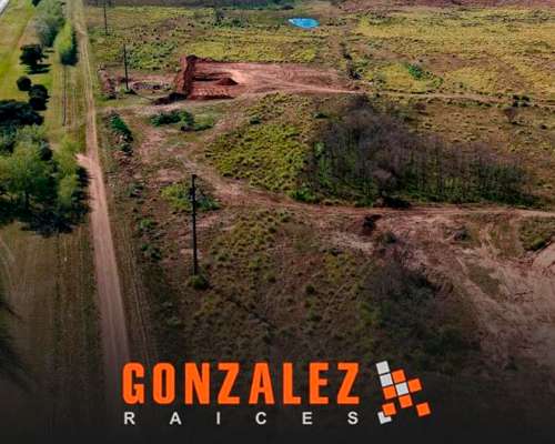 Campo en Cañuelas Sobre Colectora AU. Ezeiza