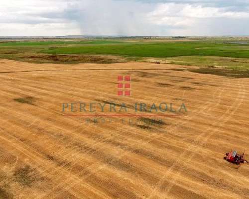 Excelente Campo Mixto en Venta. Juan N Fernandez - Necochea