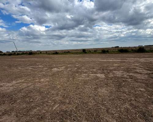 Campo 53 Hectáreas Agrícolas