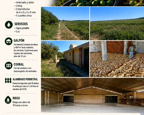 La Chacra 16 Hectáreas para Cultivo, Zona Cruz del Eje