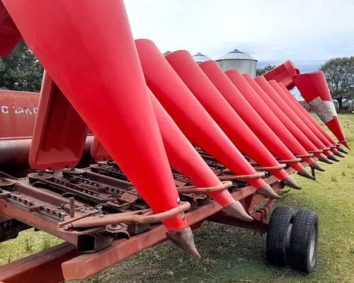 Maicero de Grande 10 a 52