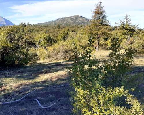 Lago Lezana 39 Ha Zona Cholila - Costa de Lago