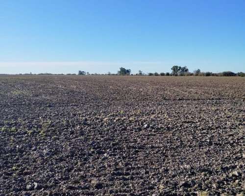 Campo Agricola 74 Hectáreas Villaguay