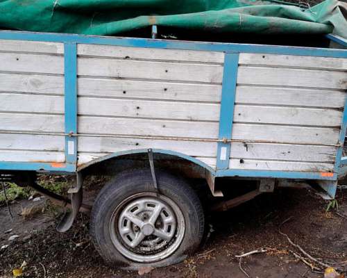 Carro Liviano de 1 Eje - Usado