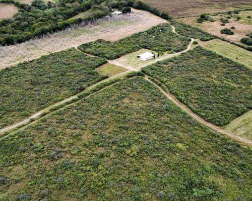 Finca Nogales 21 Has Tranquera Cerrada - Escritura - Dueño