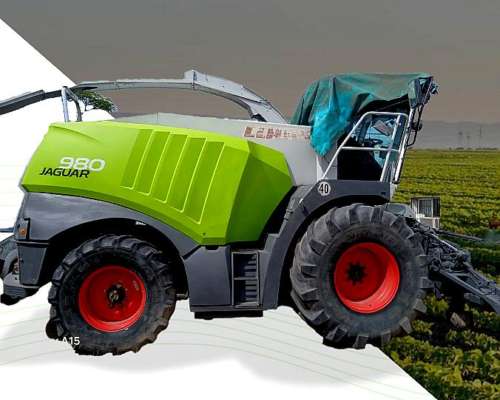Picadora Claas Jaguar 980 - año 2011