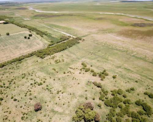 Campo Ganadero 1500 Hectáreas