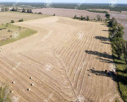Campo en Venta de 31000 Has en Santa FE. Ganaderas/agrícolas