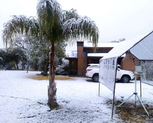 Campo con Almendros y Nogales