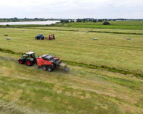 Megaenfardadora Kuhn LSB 1270