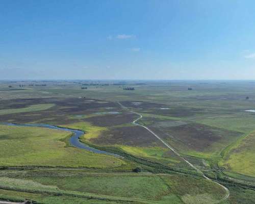 Pcia. de Buenos Aires - Roque Perez 243 Ha