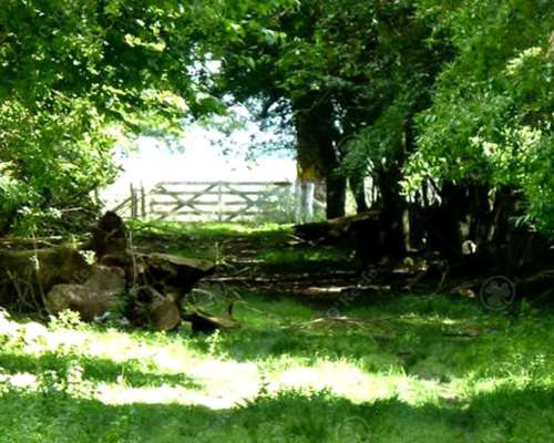 530 Has en Lezama - Hermosas Vistas a la Laguna