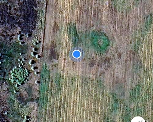 340 Hectáreas Ganaderas en Alberti