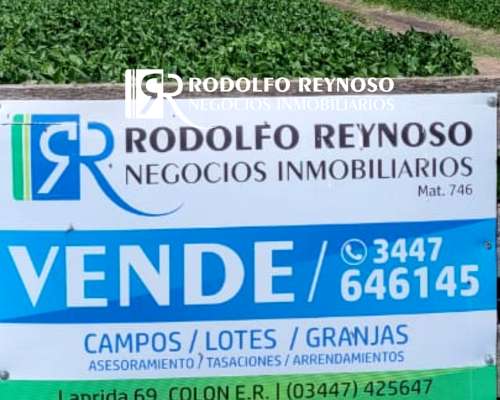 50 HA. en Colonia Elía (entre Ríos)