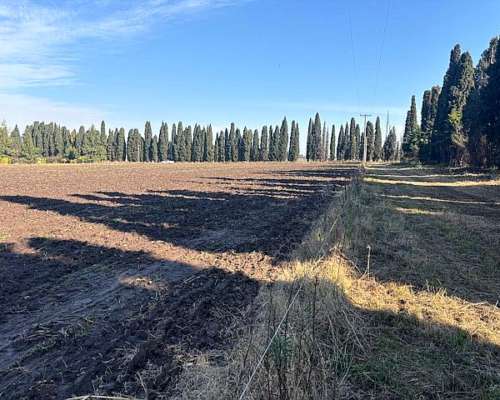 Campo de 2,5 Has en San Pedro Buenos Aires