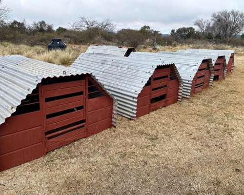 Parideras de Chapa para Cerdas