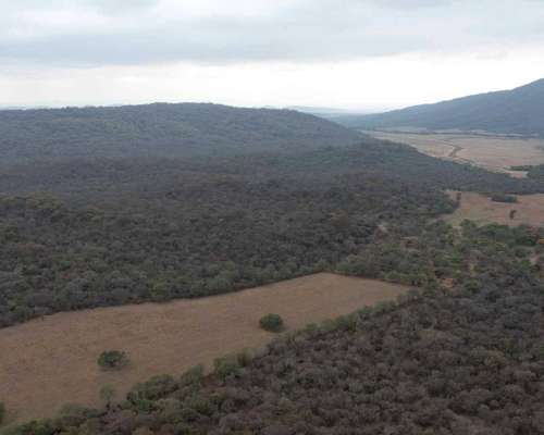 Pcia. de Salta - el Bordo 6190 Has