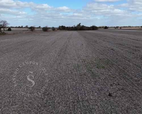 Venta Campo Agrícola. 41 HA. Cululú, Santa FE.