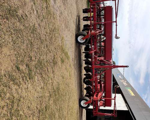 14 a 52, Fertilización Simple, Gringa IV