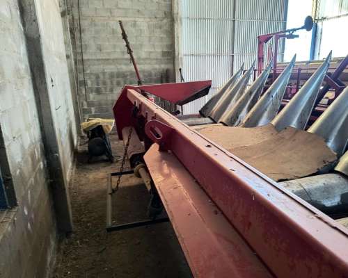 Maicero Mainero 2000 de 16 a 52 muy Bueno 2008