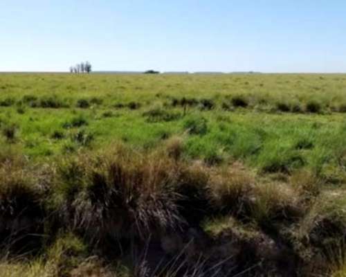 Estancia de 14000 Hectareas Corrientes