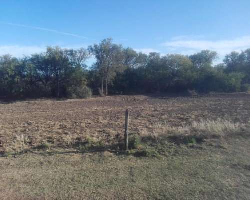 Papagayos - 1034 Ha - San Luis