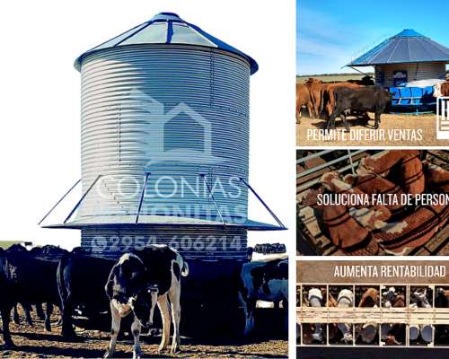Nuevo Silo Comedero Base de Fibra - Colonias Menonitas