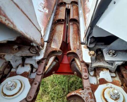 Maicero Maizco - año 2007